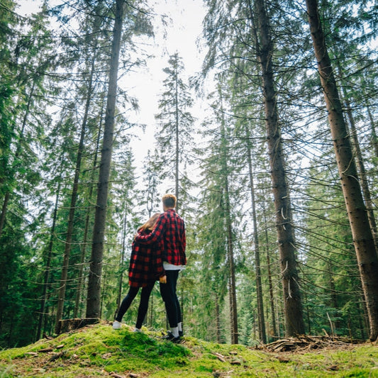 Walk in the Woods | room scent oil