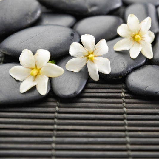 Spa visual of flowers on rocks- Oasis Scent Oil scent marketing inc