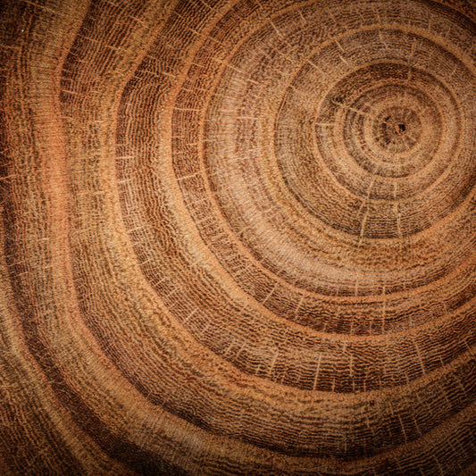 textured_woods_room-scent-oil-Scentfluence