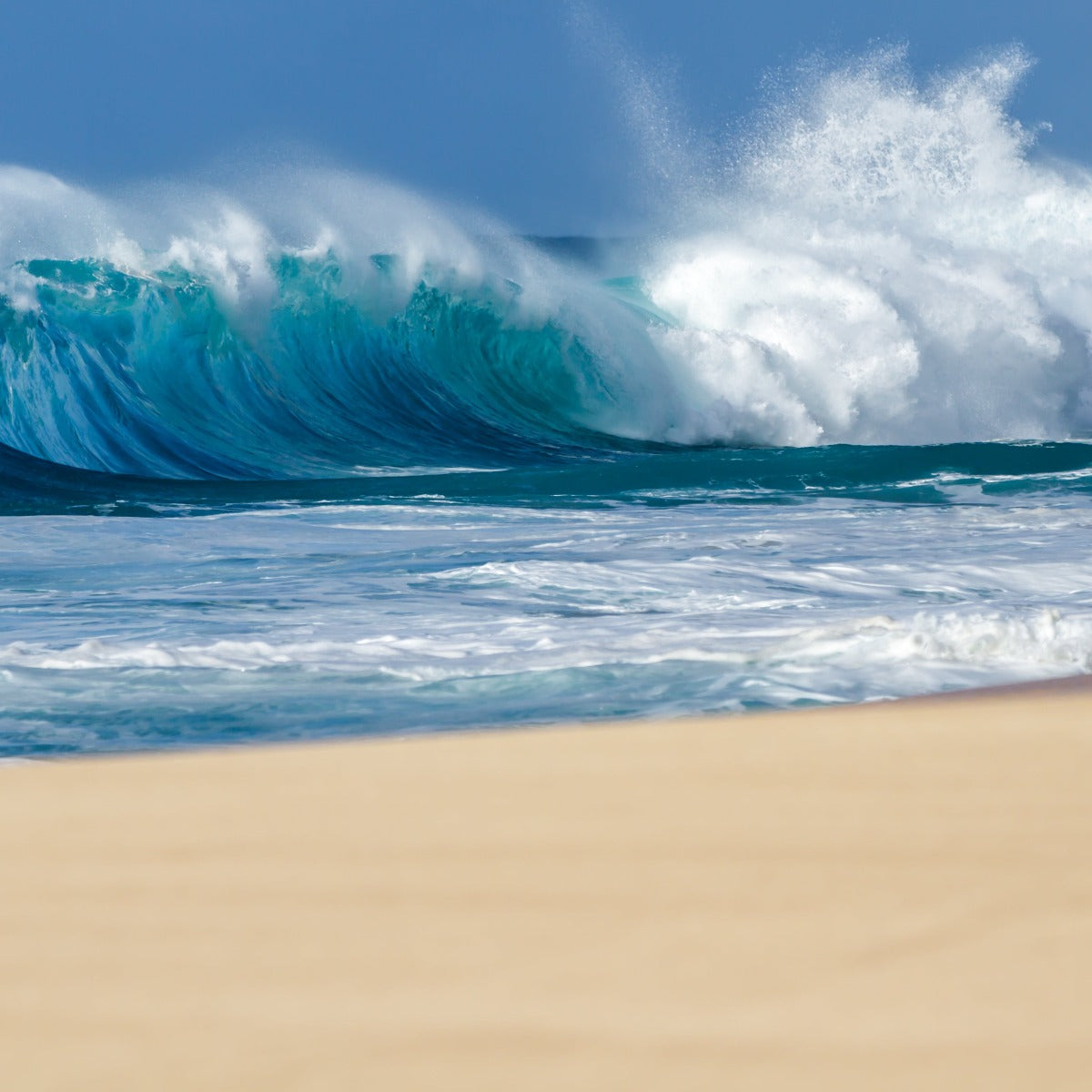 Surf & Sun