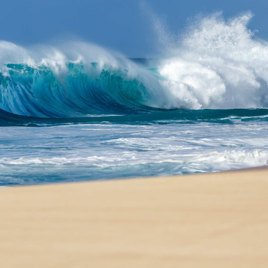 Surf & Sun