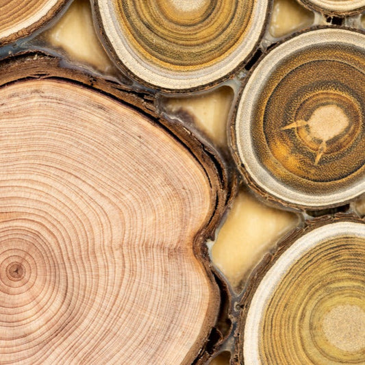 Santal | Diffuser Oil | Room Fragrance