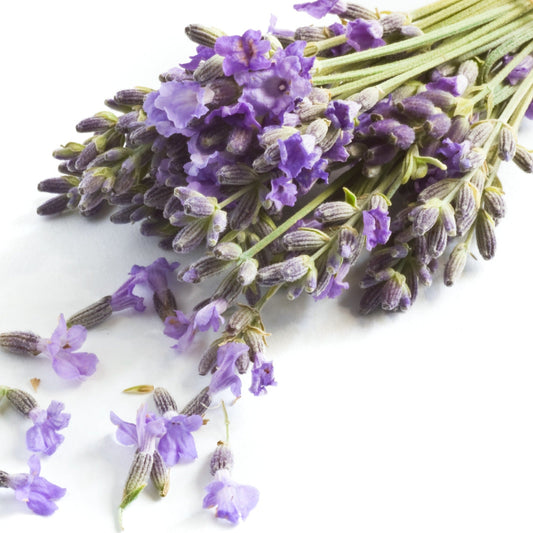 Lavender Leaves | Diffuser Oil | Room Fragrance